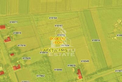 Teren agricol intravilan de 2572 mp, în Dudeștii Vechi - 3