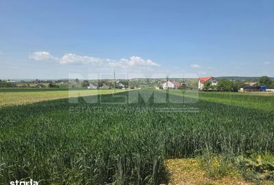 Teren de 2600 mp, în Mitocu Dragomirnei - 7