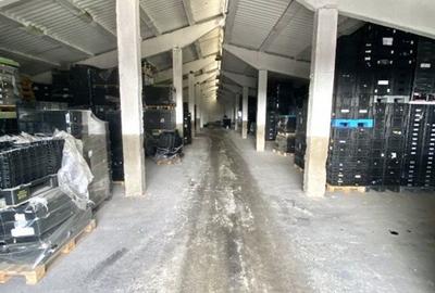 Spațiu industrial, de 1,200 mp, în Aeroport - 6