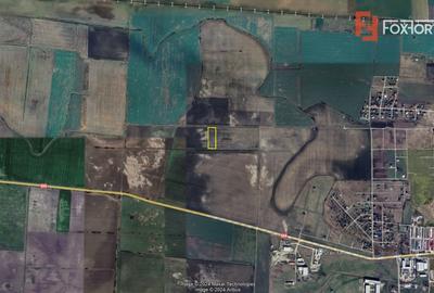 Teren agricol extravilan de 10000 mp, în Săcălaz - 5