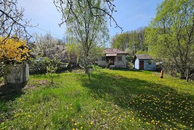 Teren de 3000 mp, în Dăești - 2