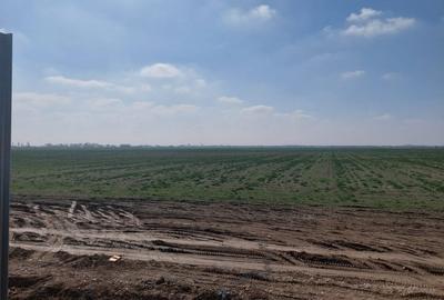 Teren agricol intravilan de 12300 mp, în 1 Decembrie - 4