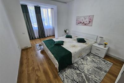 Apartament cu 2 camere semidecomandat, mobilat în Centrul Civic - 2