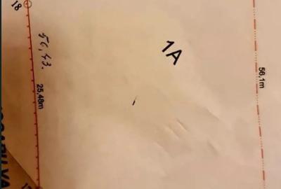 Teren de 1706 mp, în Stejaru (Pângărați) - 1
