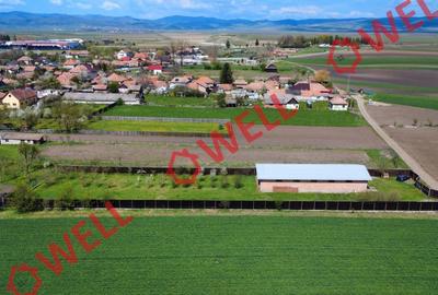 Spațiu industrial, de 252 mp, în Târgu Secuiesc - 3