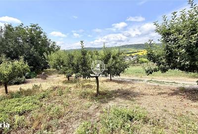 Casă cu 4 camere în Aroneanu