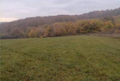 Teren de 2900 mp, în Baciu - 1