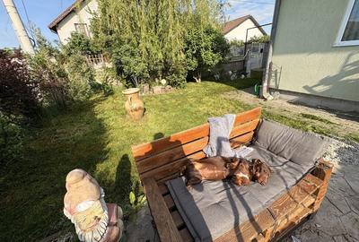 Casă cu 3 camere cu Teren 350 Mp în Săcălaz - 2