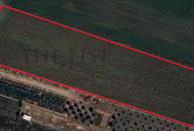 Teren Construcții intravilan de 4913 mp, în Dârza - 1