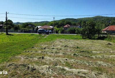 Teren de 1052 mp, în Copăcelu