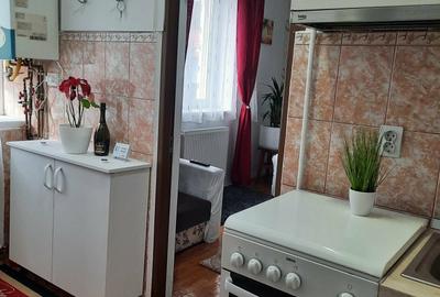 Garsonieră în Timișu de Jos - 2