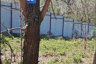 Teren de 3000 mp, în Cernelele - 1