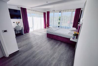 Casă individuală cu 10 camere cu Teren 4600 Mp în Central - 3