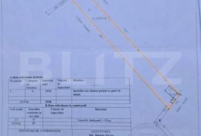 Casă cu Teren 2920 Mp în Criș