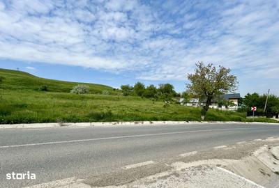 Teren de 834 mp, în Dumești - 3