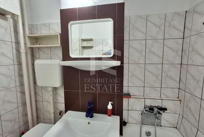 Garsonieră decomandată în Teiul Doamnei - 17