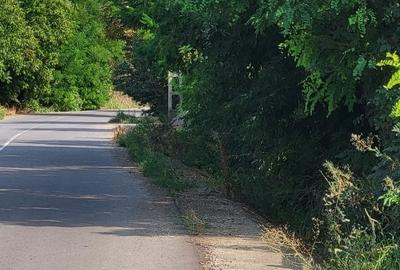 Teren Construcții intravilan de 2800 mp, în Călugăreni - 2