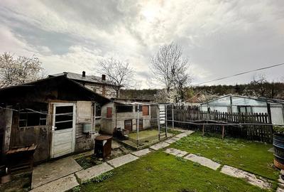 Casă cu Teren 2470 Mp în Mârțești - 9