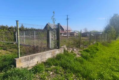 Teren de 2500 mp, în Rădăuți - 4