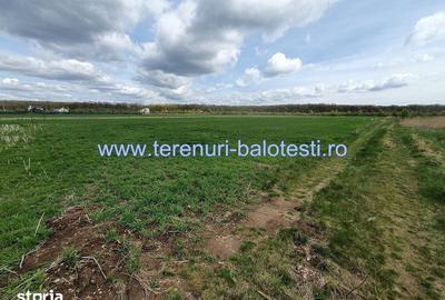 Teren de 800 mp, în Balotești