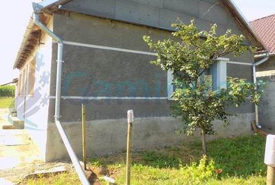 Casă individuală cu 3 camere cu Teren 4192 Mp în Bicaci - 6