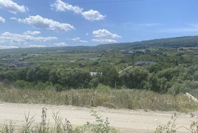 Spațiu comercial, în Chinteni