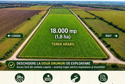 Teren de 18000 mp, în Roit