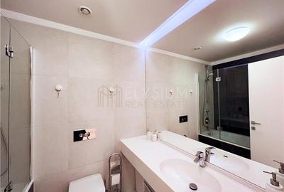 Apartament cu 2 camere semidecomandat, mobilat în Herăstrău - 14