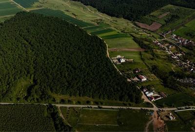 Teren de 6202 mp, în Palilula - 5