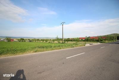 Spațiu comercial, în Sărata - 9