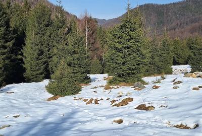 Teren de 300 mp, în Râu de Mori - 5