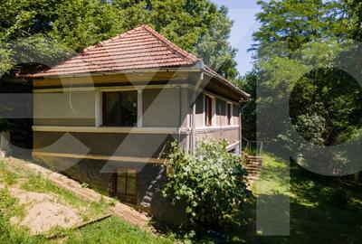 Casă individuală cu 3 camere cu Teren 3288 Mp în Bucea - 1