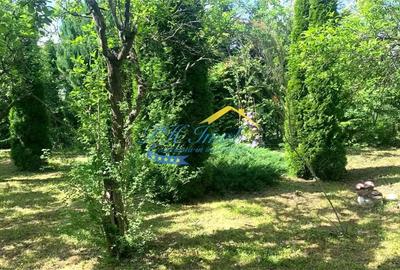 Casă cu Teren 3043 Mp în Provița de Sus - 1