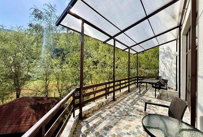 Casă individuală cu 10 camere cu Piscina în Malul Ursului - 13