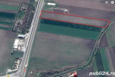 Teren de 5000 mp, în Central - 3