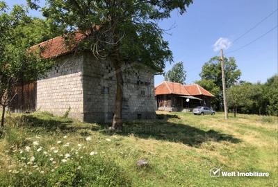 Casă individuală cu 3 camere cu Teren 11200 Mp în Vânători
