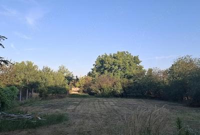 Casă cu 2 camere cu Teren 50 Mp în Central