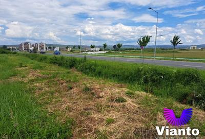 Teren Construcții intravilan de 9000 mp, în Turnișor - 3