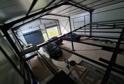 Spațiu comercial, de 172 mp, în Lipia - 11