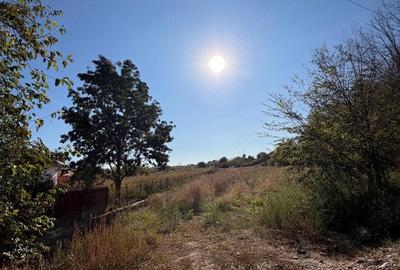 Teren de 3010 mp, în Gruiu (Căteasca)