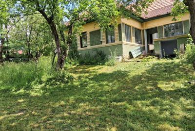 Casă cu 3 camere în Delenii - 13