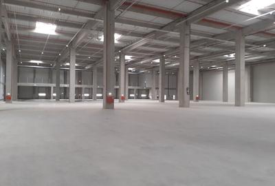 Spațiu industrial, de 2,000 mp, în Theodor Pallady