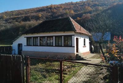 Casă cu 3 camere în Isverna