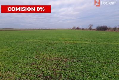 Teren agricol extravilan de 213257 mp, în Sud - 15