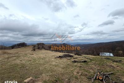 Teren de 34000 mp, în Borod - 5