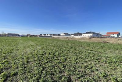 Teren Construcții intravilan de 4316 mp, în Giarmata-Vii - 3