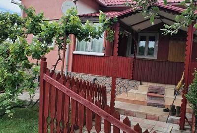 Casă cu 3 camere în Lechincioara - 6