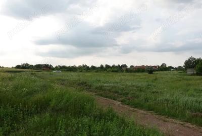 Teren de 10100 mp, în Tâncăbești - 1