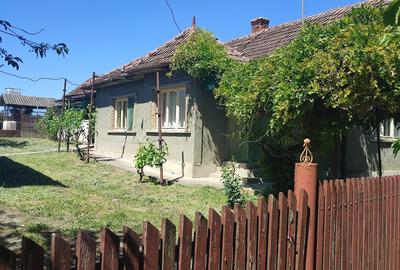 Casă cu 2 camere în Săcășeni - 3