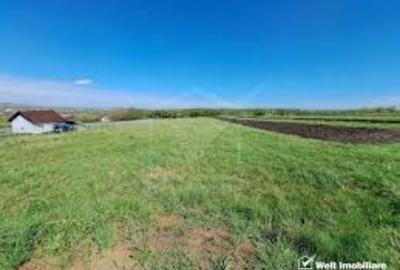 Teren extravilan de 99000 mp, în Goiești - 1